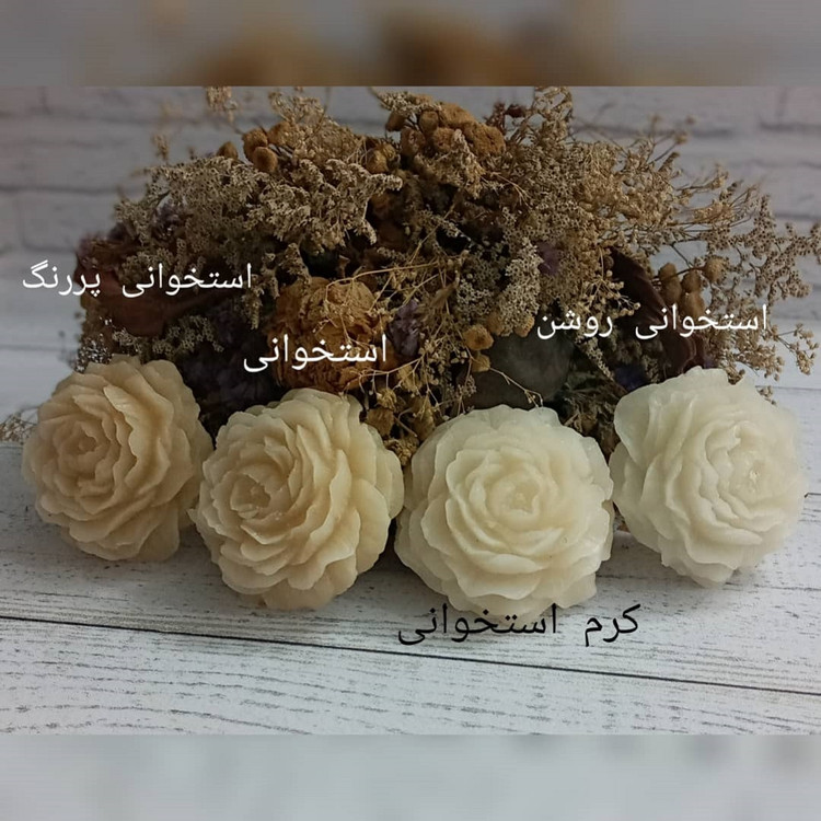 رنگ شمع مکعبی دارینا رنگ استخوانی (سری جدید)