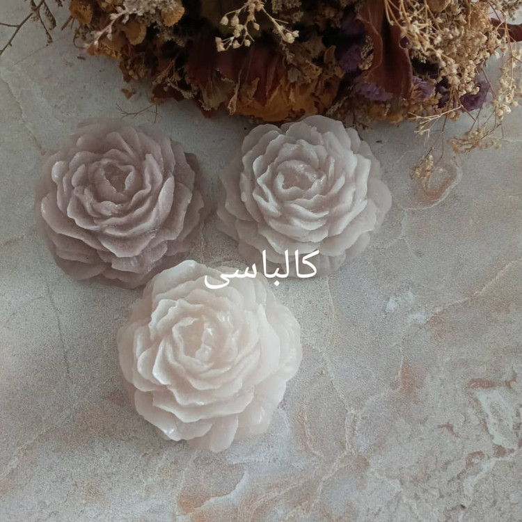 رنگ شمع مکعبی دارینا رنگ کالباسی